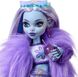 Monster High Doll, Abbey Bominable HNF64 фото 3