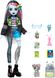 Monster High Frankie Stein Doll HXH73 фото 3